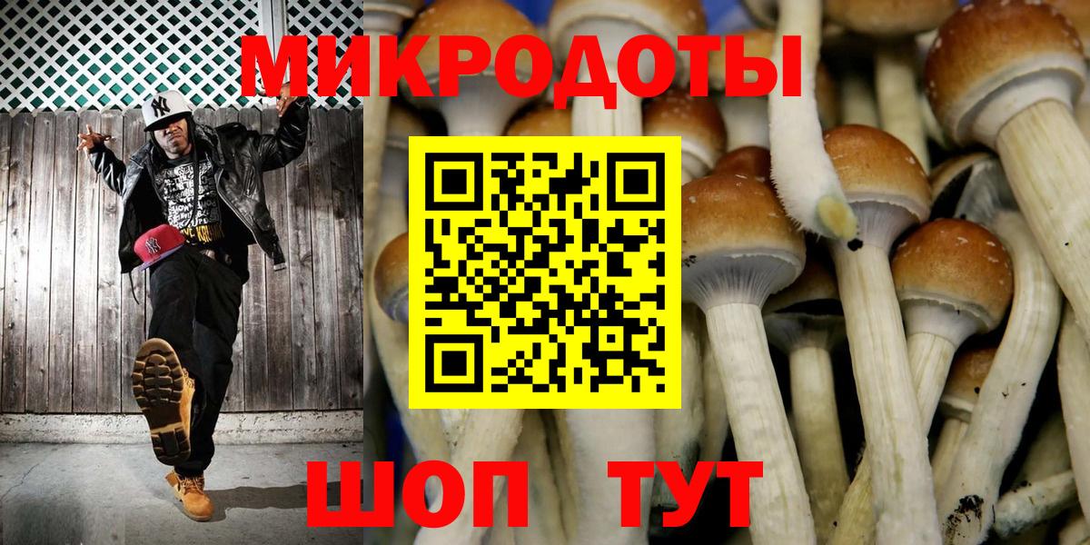 Псилоцибиновые грибы прущие грибы Зерноград